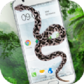 �������������ذ�׿APP v1.6