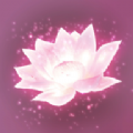 LotusΑ°׿ v1.5.5