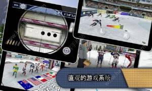\Winter Sportsİ׿DƬ1