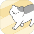 猛龙总裁：希望凯西获最佳主教练，他值得