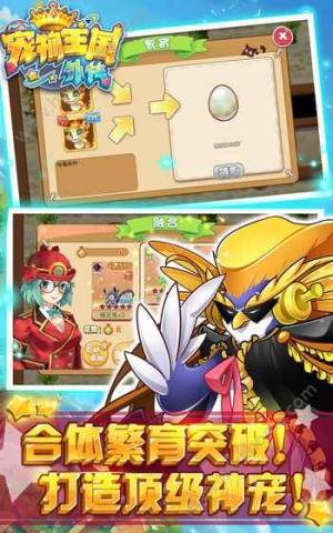 宠物王国单机版1.2.0最新安卓版图片1