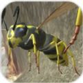 �Ʒ䳲ģ����3D���İ棨Wasp Nest Simulator 3D�� v1.0