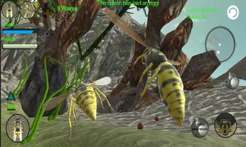 �Ʒ䳲ģ����3D���İ棨Wasp Nest Simulator 3D��ͼ3: