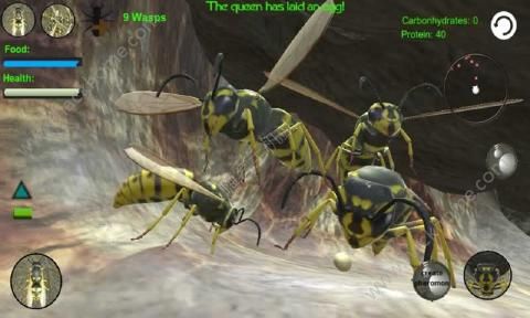 �Ʒ䳲ģ����3D���İ棨Wasp Nest Simulator 3D��ͼ2: