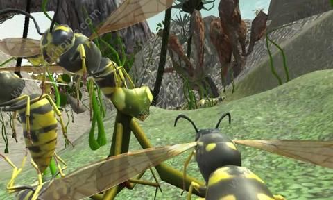 �Ʒ䳲ģ����3D���İ棨Wasp Nest Simulator 3D��ͼ1: