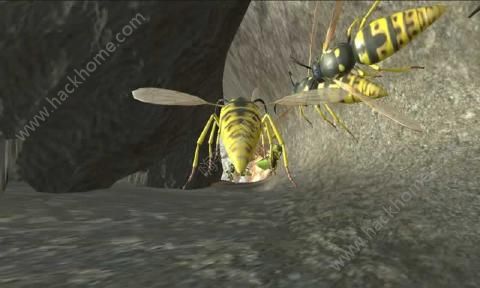 �Ʒ䳲ģ����3D���İ棨Wasp Nest Simulator 3D��ͼƬ1
