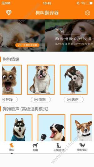 狗叫翻译器下载中文版app图片2