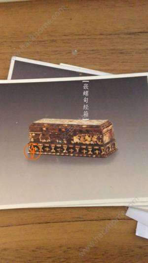 云观博苹果官方版app下载图片1