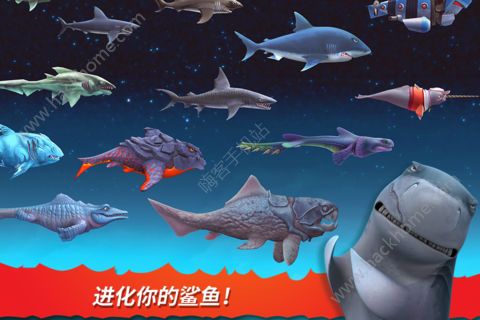 ���������5��Ϸ�ٷ������ͼƬ2