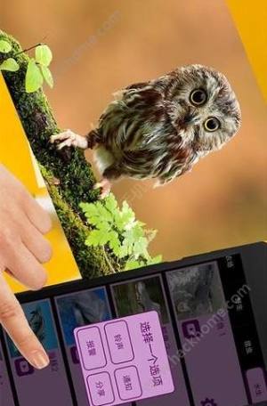 人和动物交流器软件app手机版下载图片1