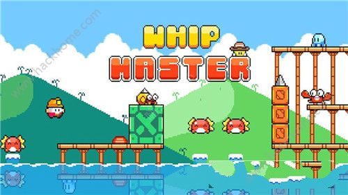 ӴʦϷٷ°棨whip masterͼ3: