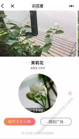 识花君官方手机版下载图片1