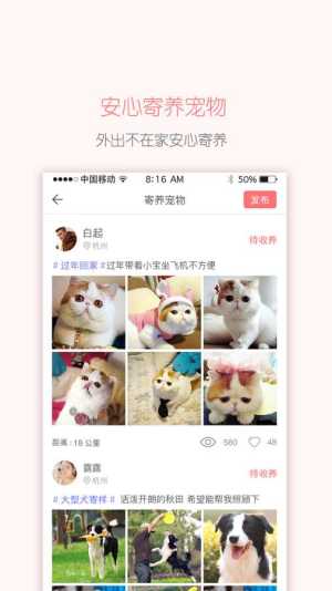 云宠城app官方下载手机版图片1