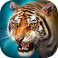 ����ģ������Ϸ��׿���°����أ�The Tiger�� v1.6.4