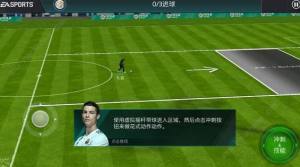 FIFA绨ʽ ʽҡôͼƬ1