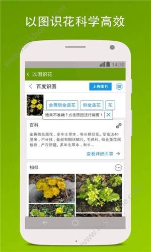 识花形色软件手机版app下载图片1