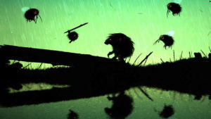 Feist中文安卓版图片2