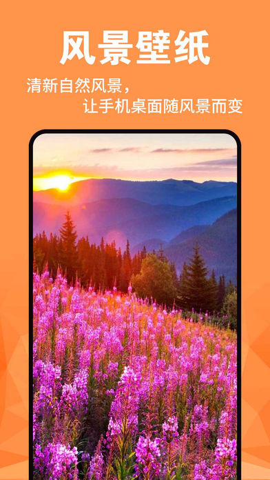 ڼappٷ֙CD1: