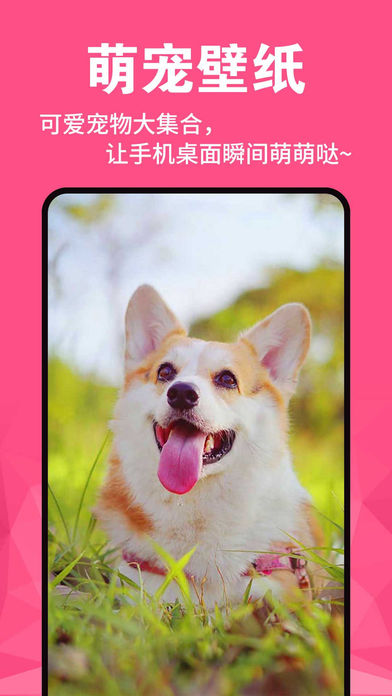 ڼappٷ֙CD3: