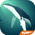 ˮ1.6.9׿ v1.9.6