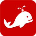 ٷƽ̨app v1.0
