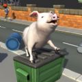 Bed Piggies޽ڹƽ v2.3.3