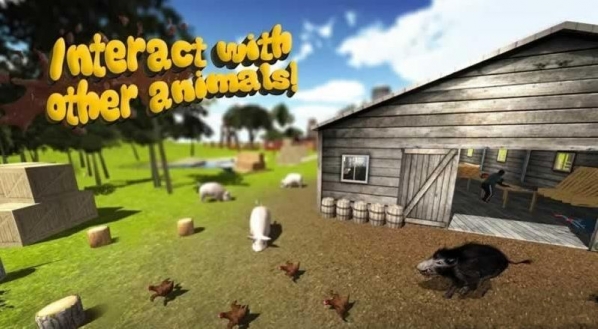 iiģMPig Simulator[֙C°dDƬ1