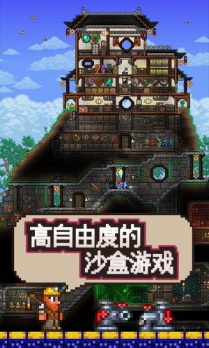 ̩¼[D1