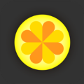 �����ٷ�app�����ֻ��� v2.1