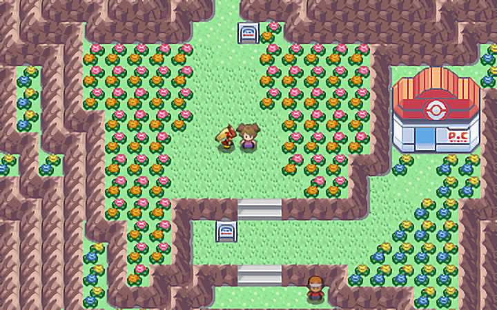 ڴ߰Ϸٷİ棨PokeMMOͼ2: