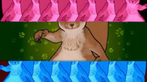 yY[D2