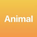 Animal_Plus׿ܛappd v1.1