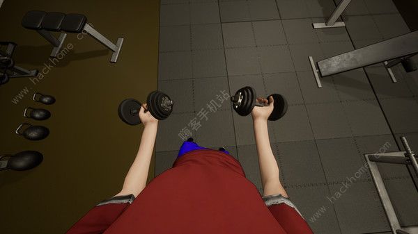 gym simulatorԴȫ ·[ͼ]ͼƬ1
