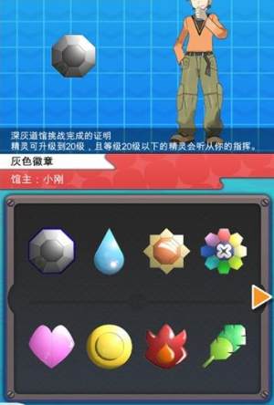 PokePlusٷͼ1