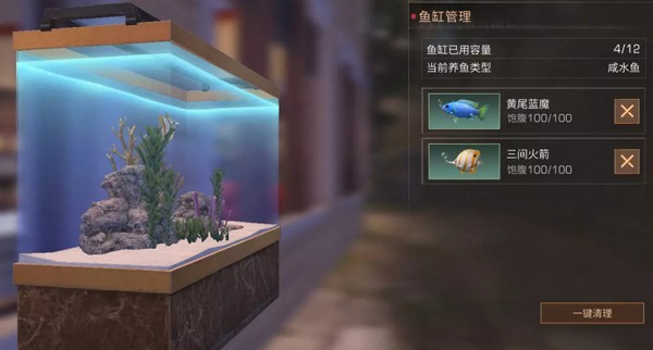 ����֮���������ô�� ������ι��С����