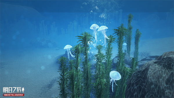 ����֮�������ճ���ôû�仯 ���ճ���Чʱ�����