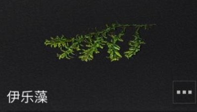 明日之后海岛地图特殊道具汇总 海岛地图特殊道具在哪