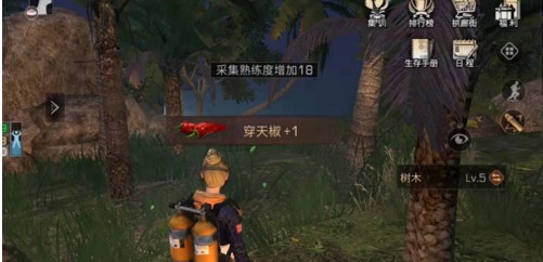 ����֮���콷����� ���콷λ�û���