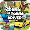 ˾°׿棨Grand Town Driver v1.1