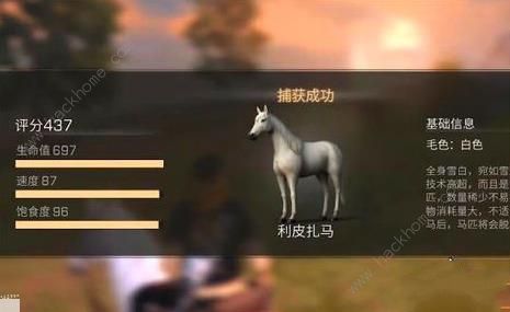 ����֮���������ôѱ�� ��Ƥ������׽�������ͼƬ9