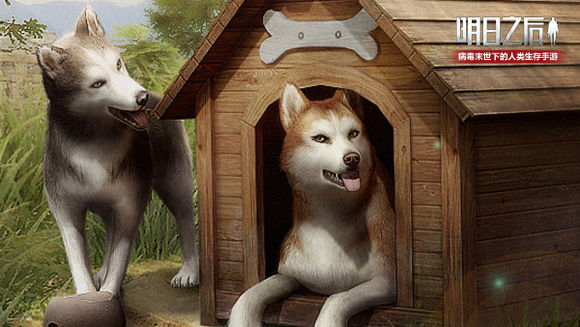 ����֮���ʿ�����Ǯ ��ʿ����ͼ۸�