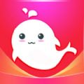 ÿLxappٷdb v1.0