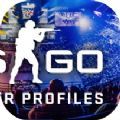 CSGO