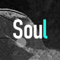 soul在线网页登录入口官方地址 v4.17.0