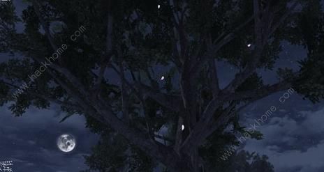 ����֮�󻨰������� ������λ�ý���ͼƬ1