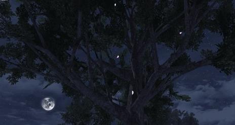 ����֮�󻨰������� ������λ�ý���