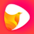 ԶƵappٷ v1.0.2