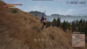 [D3