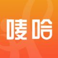 ����̳ǹٷ���app���ذ�װ v1.0