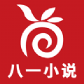 һС˵ٷappذװ v1.1.0